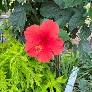 Meet your Posher, Karina